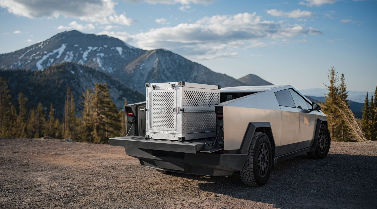 The best electric cars to buy this year