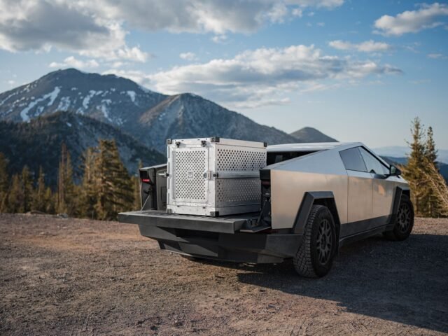 The best electric cars to buy this year