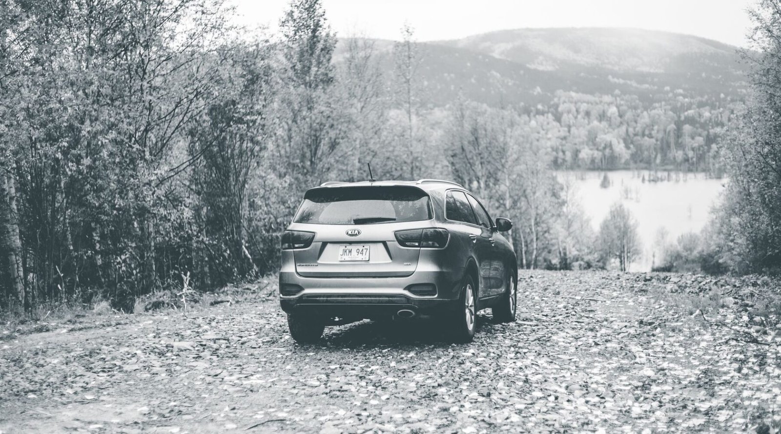 The best midsize family SUVs for every priority