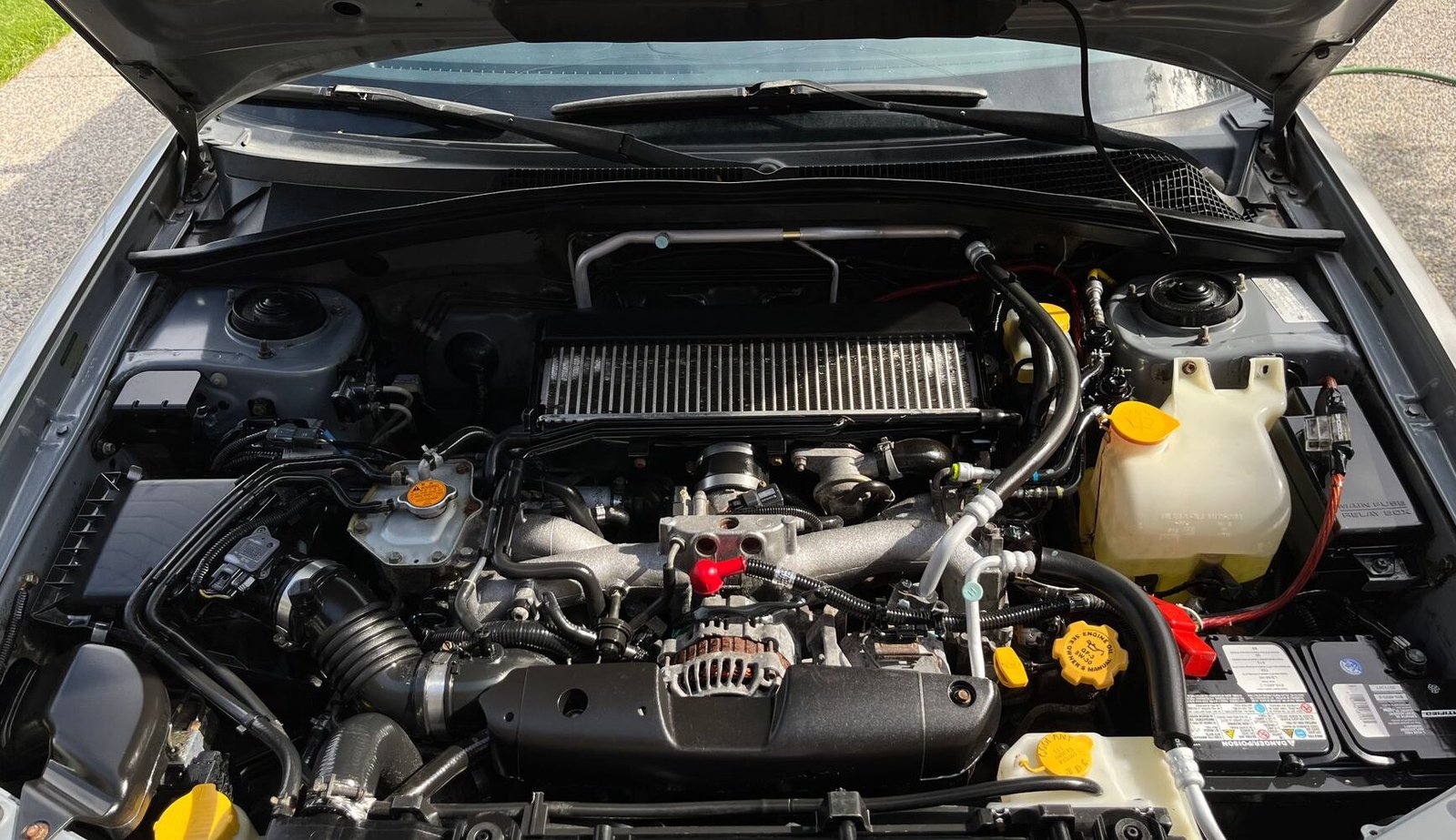 Oil in radiator: causes, symptoms, and solutions