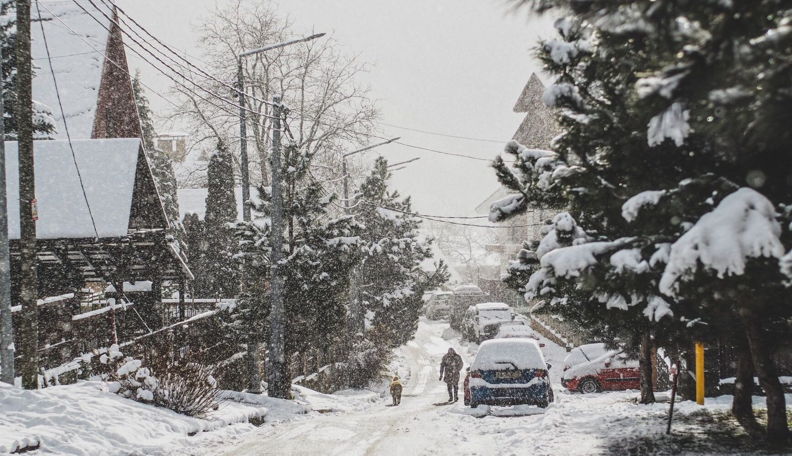 The best electric cars for winter driving