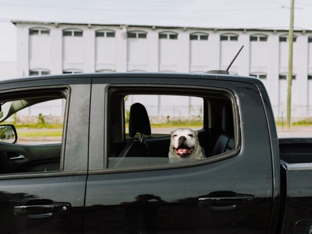The best pickup trucks for balancing heavy workloads and daily commutes