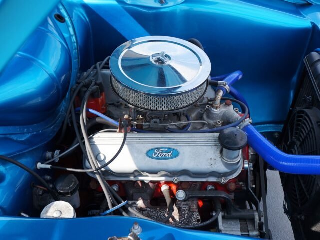 Blue Devil radiator flush for optimal engine performance